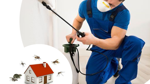 Pest Control Services: Essential for a Healthy Living Environment